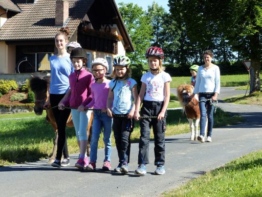 Ponys Sechs Kinder mit Fahrrädern, Zeigen auf einer Straße vor einem Haus mit zwei Hunden.
